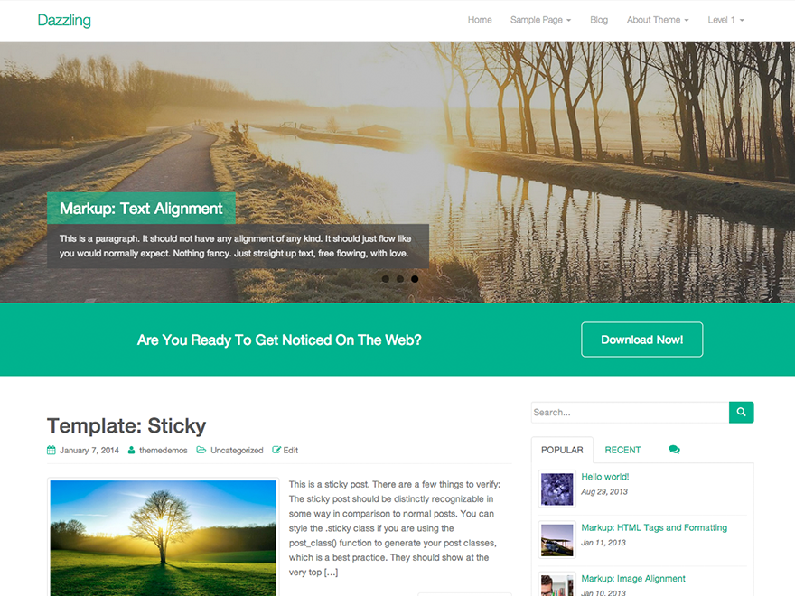 Dazzling WordPress Theme by stackthemes