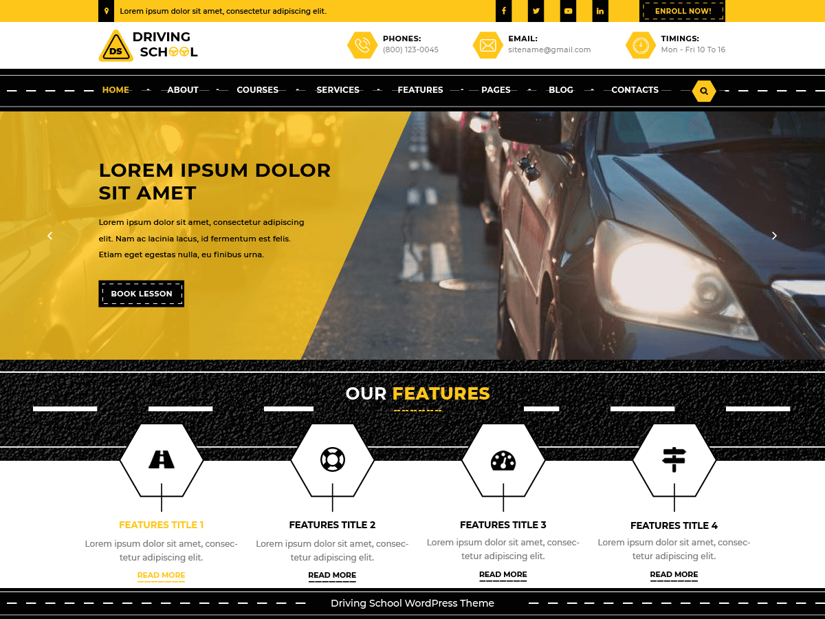 Driving School Lite screenshot