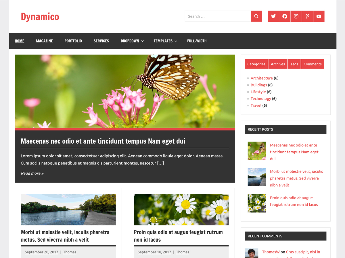Dynamico screenshot