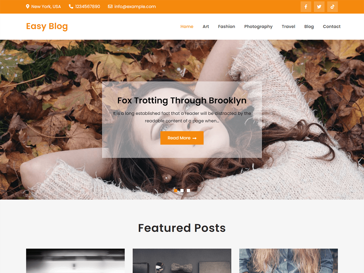 Easy Blog Screenshot