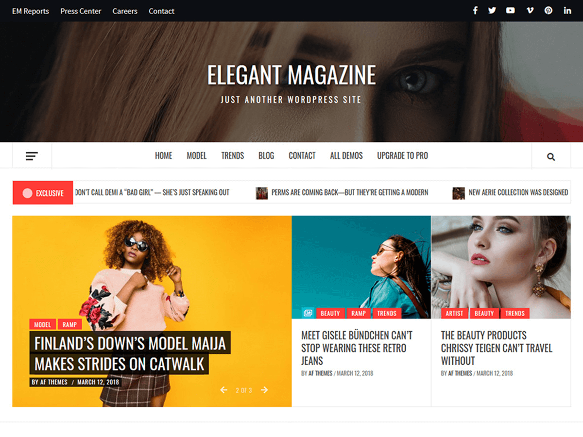 Elegant Magazine WordPress Theme by amplethemes