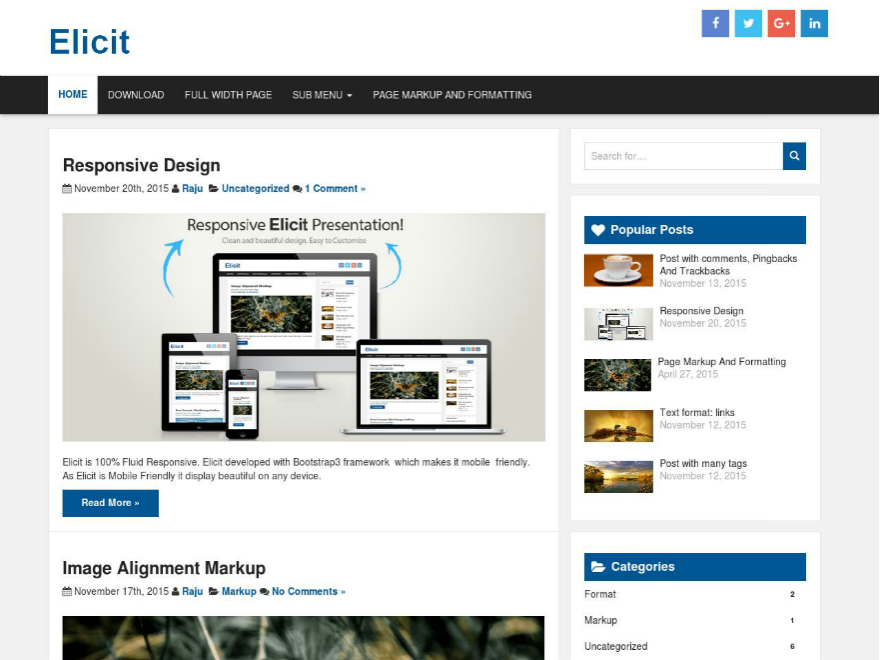 Elicit WordPress Theme by webdzier