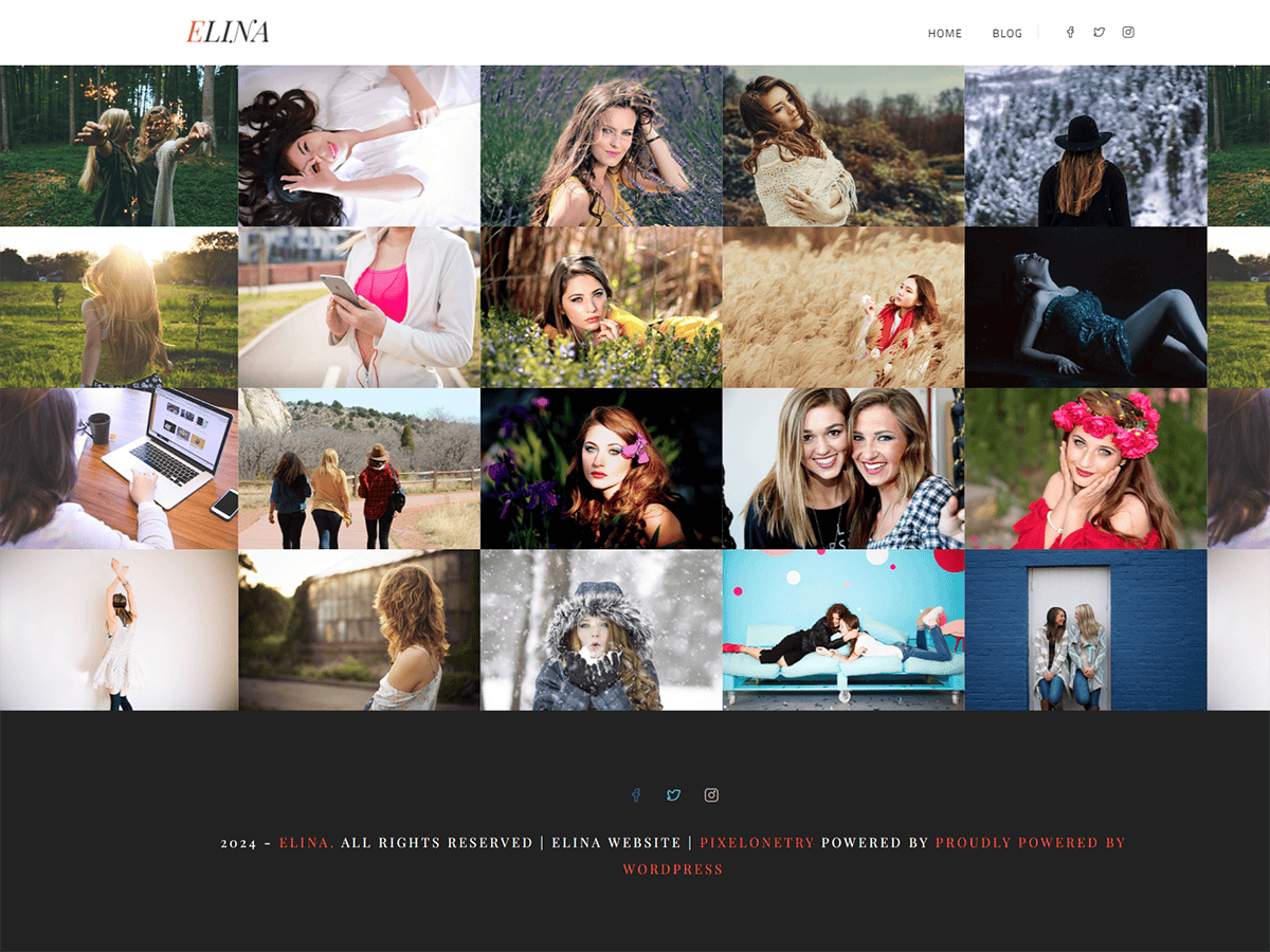 Elina Lite Portfolio Gallery screenshot