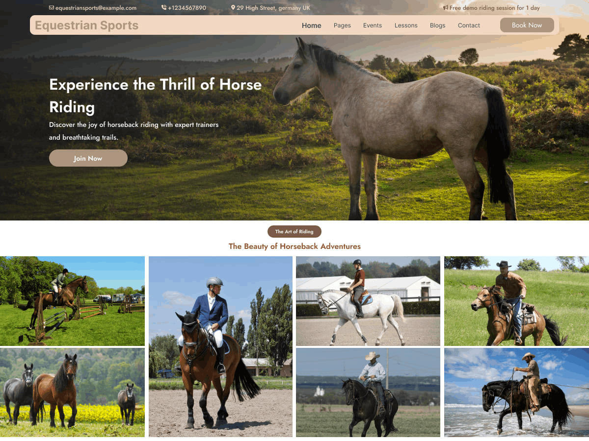 Equestrian Sports screenshot
