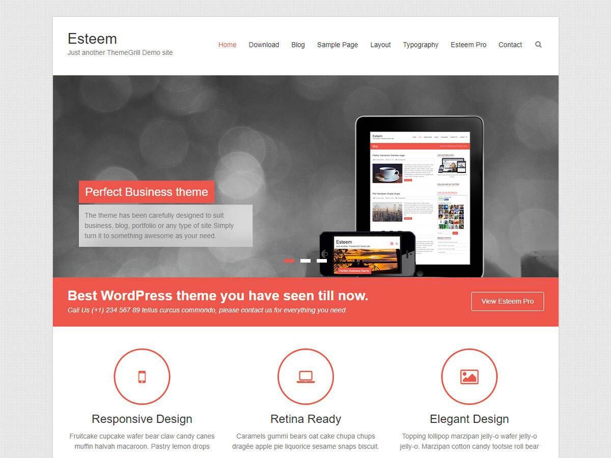 Esteem Free WordPress Theme by themegrill
