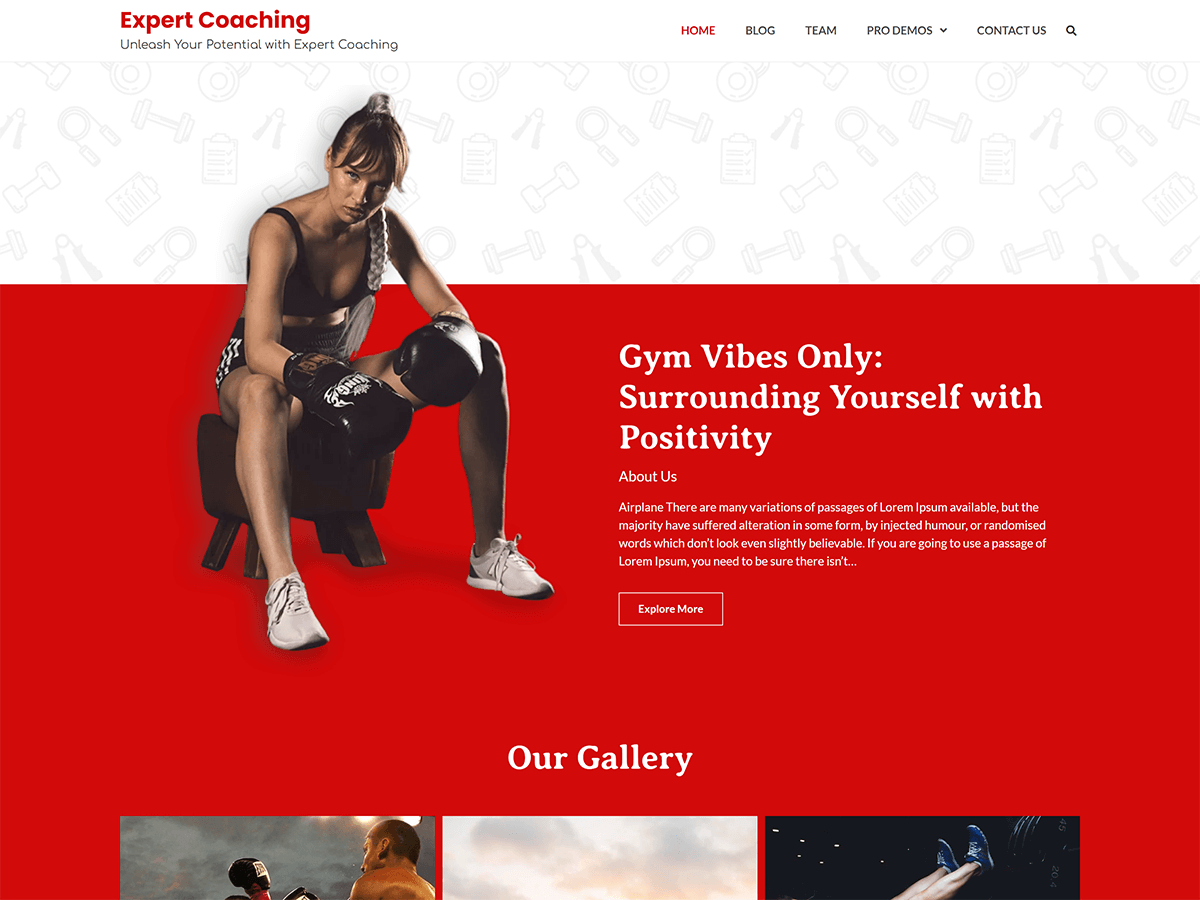 Expert Coaching Screenshot