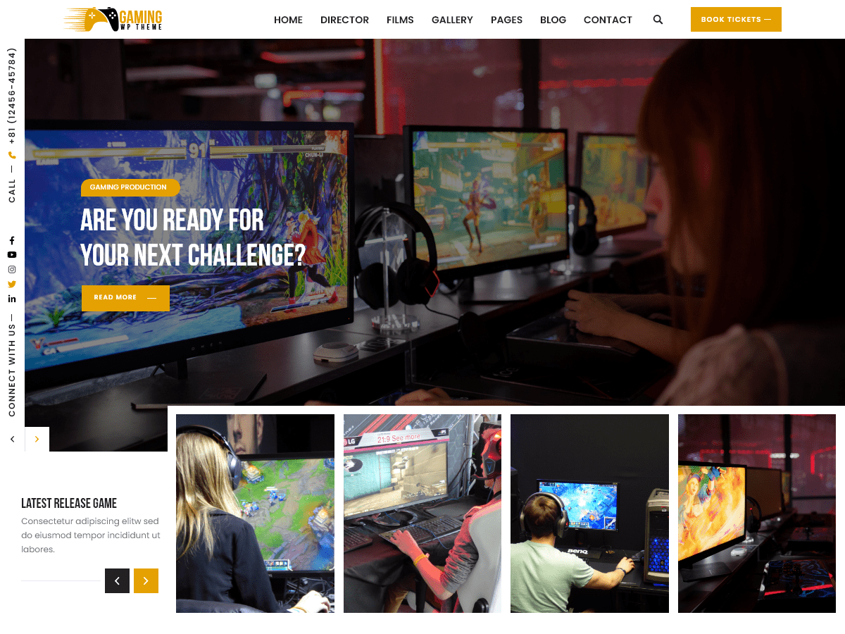 Expert Gamer