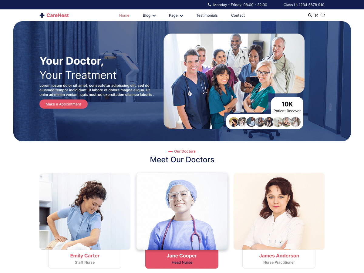 Expert Nurses screenshot