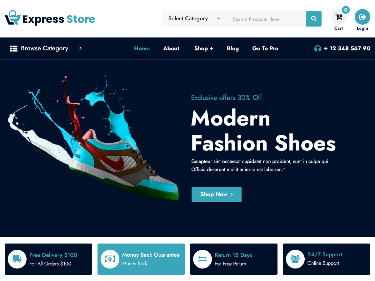 Express Store screenshot