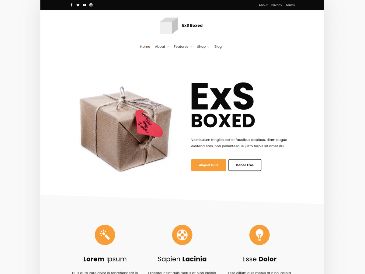ExS Boxed Screenshot