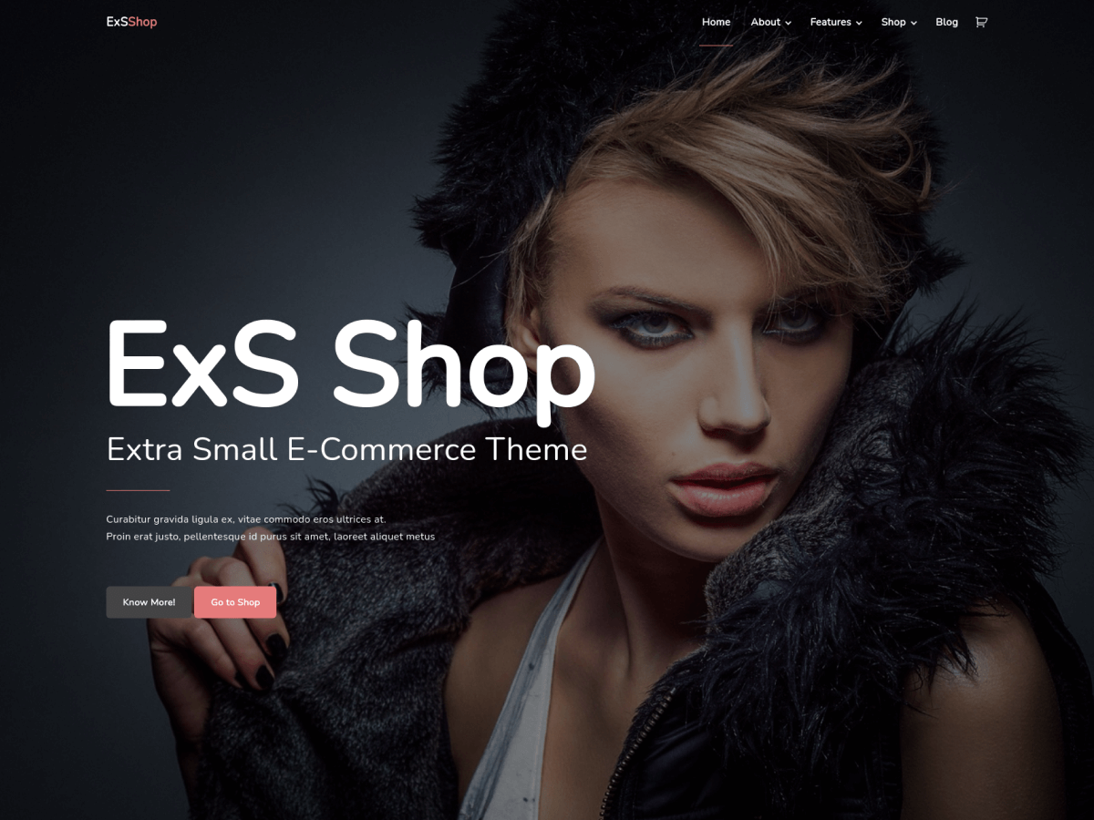 ExS Shop Screenshot