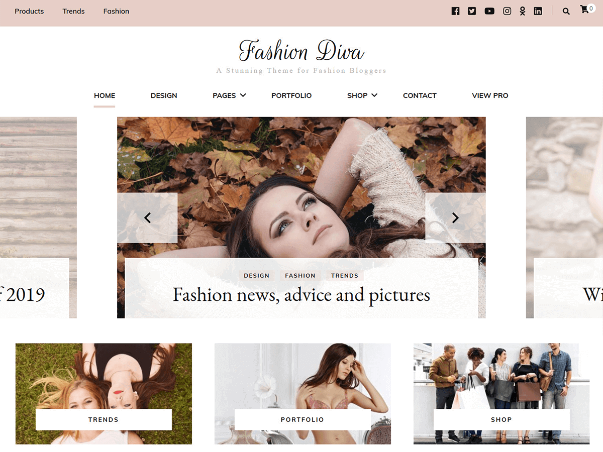 Fashion Diva WordPress Theme by blossomthemes