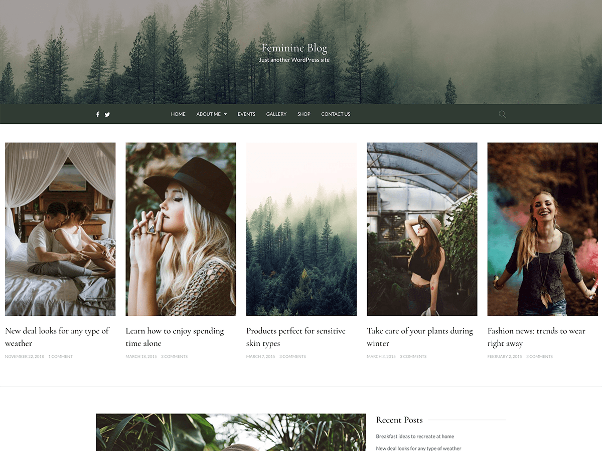 Feminine Blog screenshot