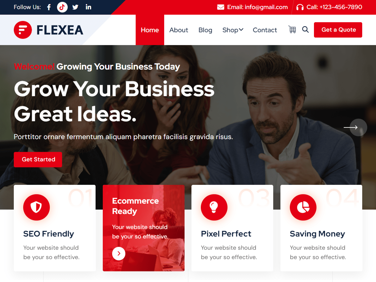 Flexea screenshot