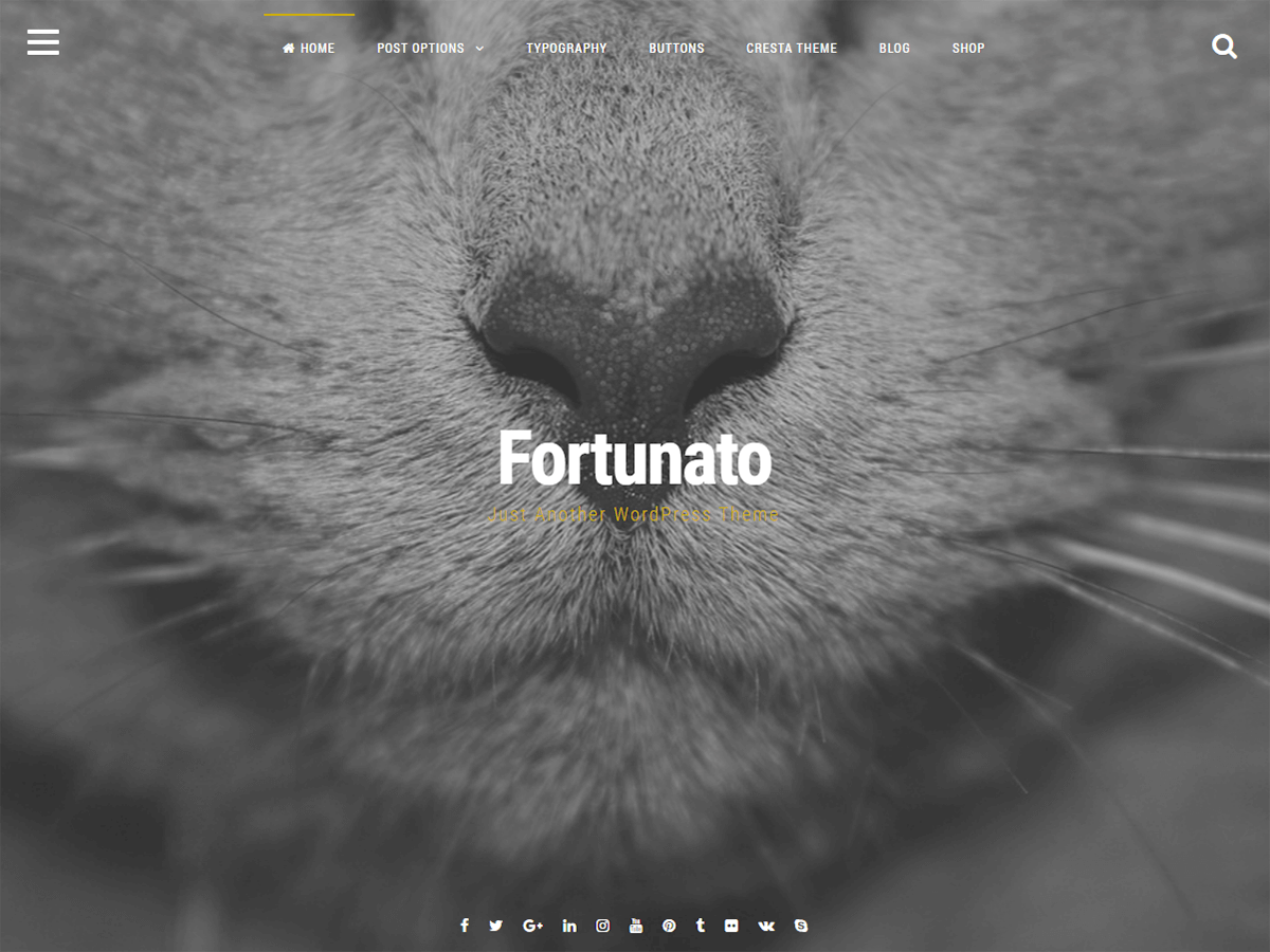Fortunato WordPress Theme by crestaproject