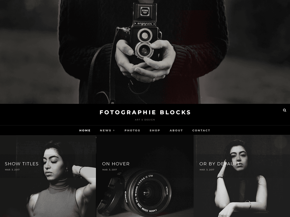 Fotografie Blocks screenshot