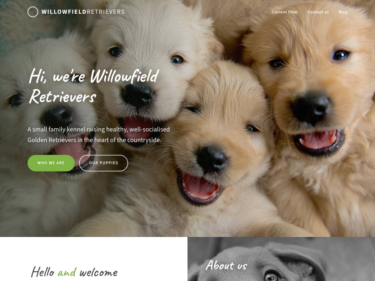 Friendly Dog Breeder theme preview