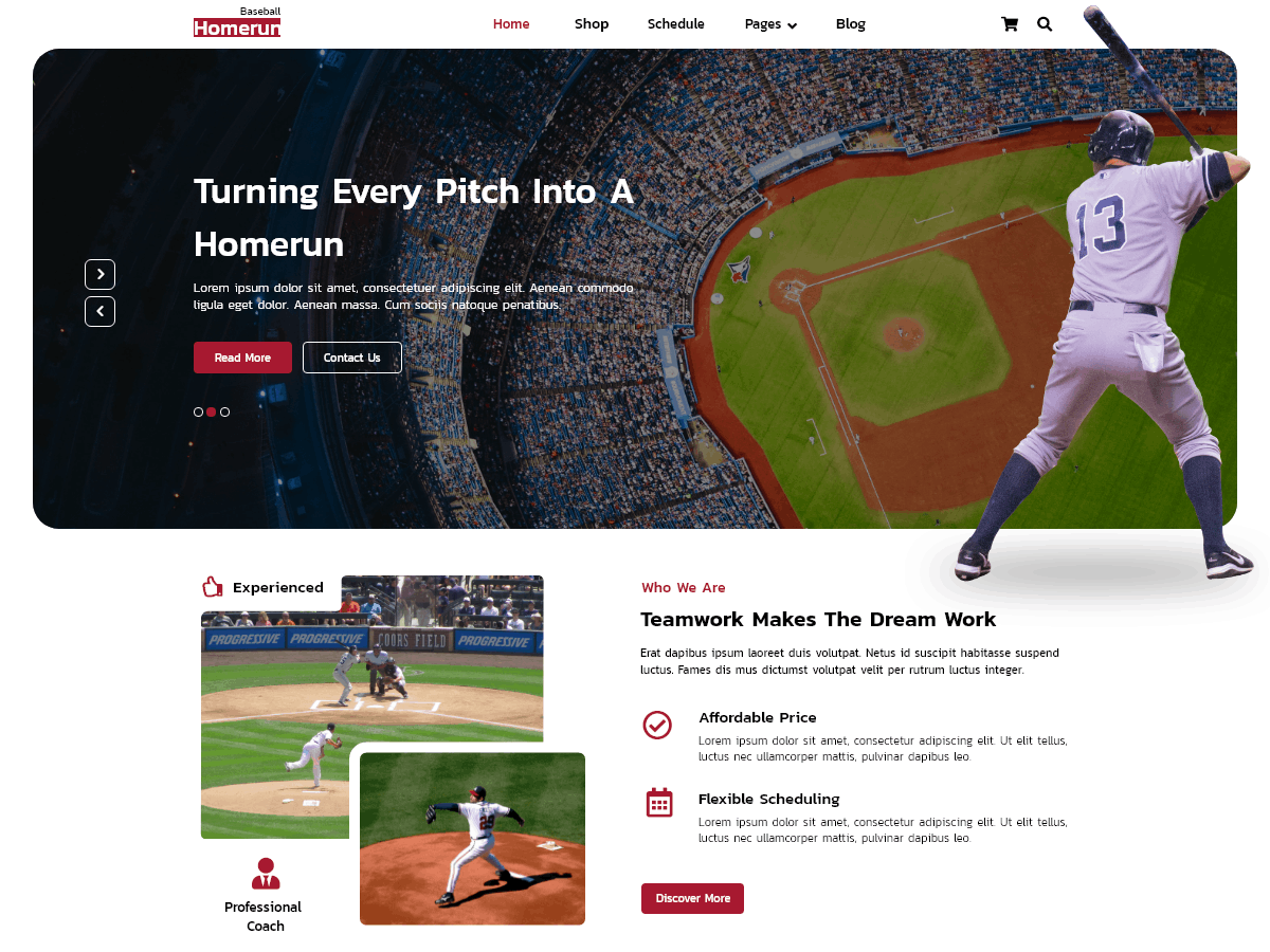 FSE Baseball screenshot