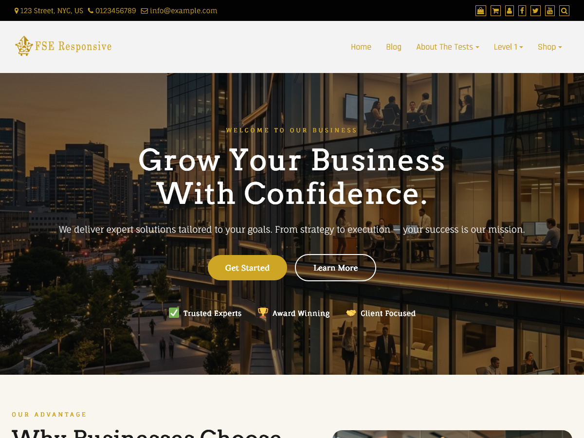 FSE Responsive