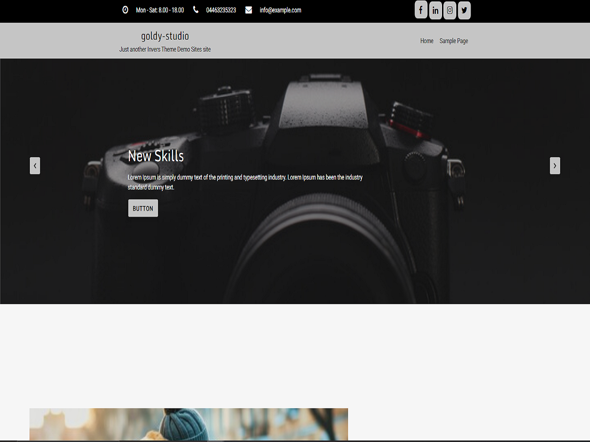 Goldy Studio Screenshot