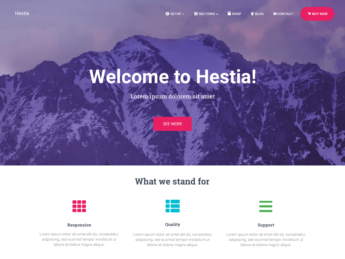 Hestia WordPress Theme by themeisle