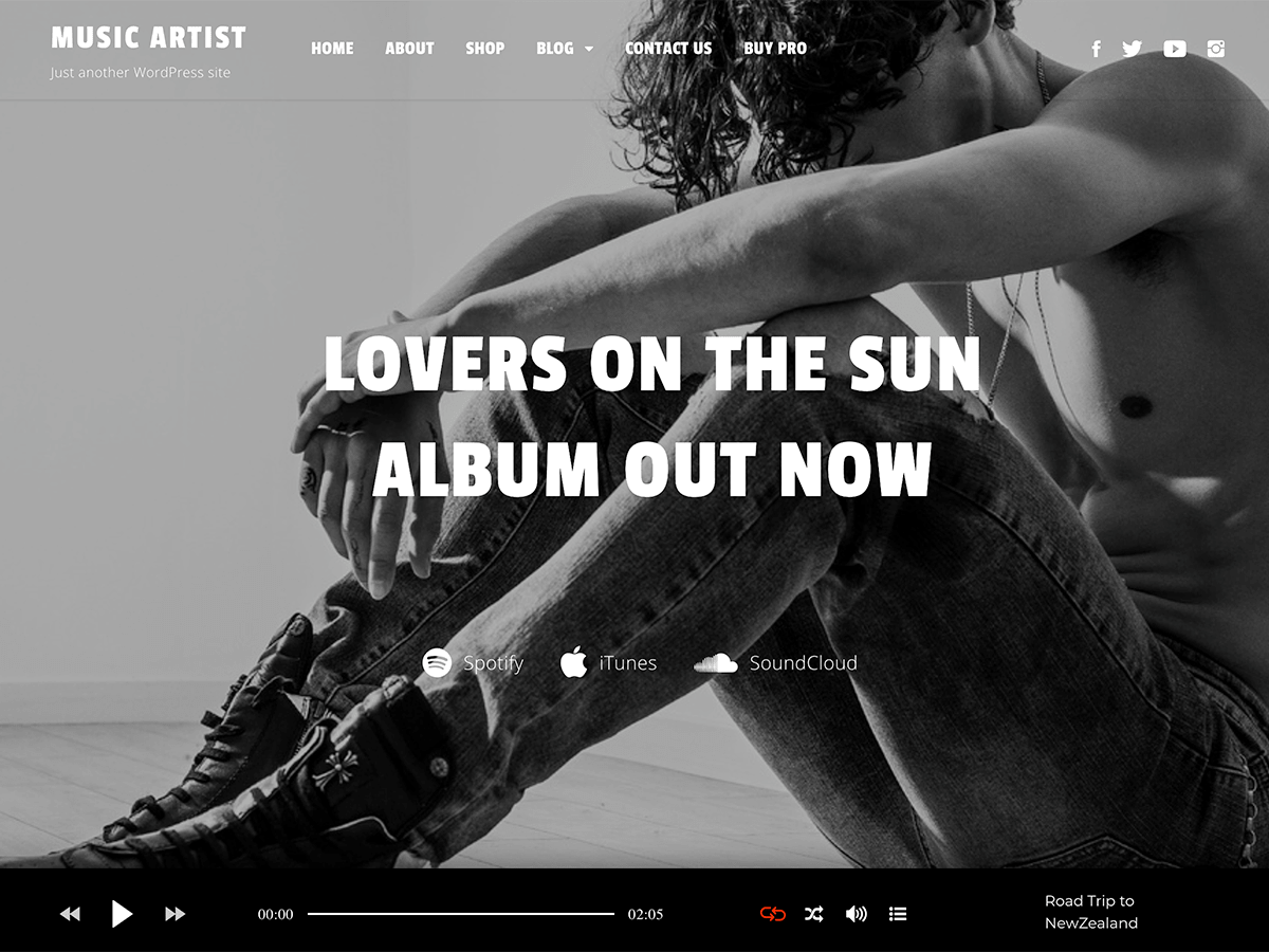 Music Artist