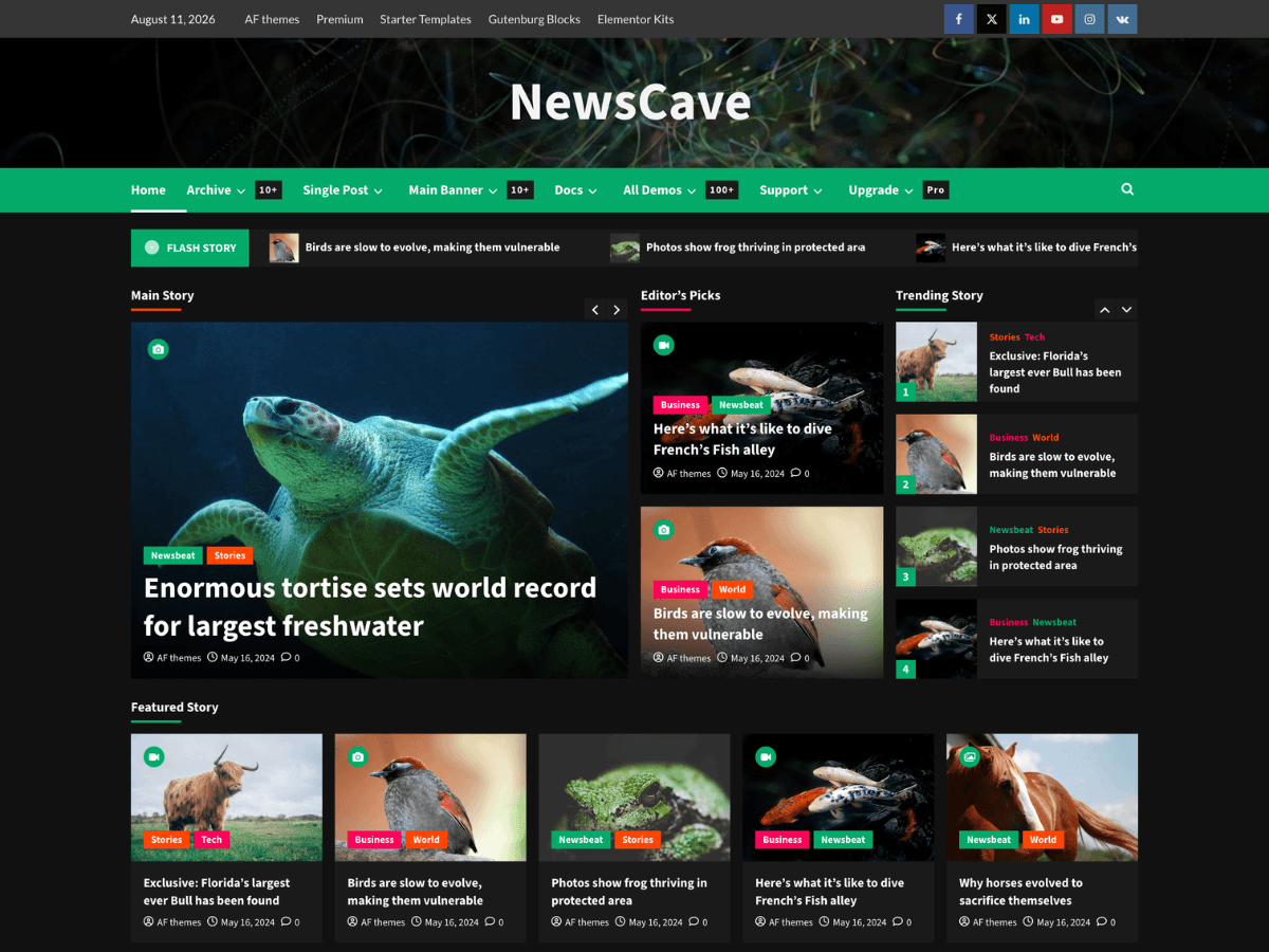 NewsCave