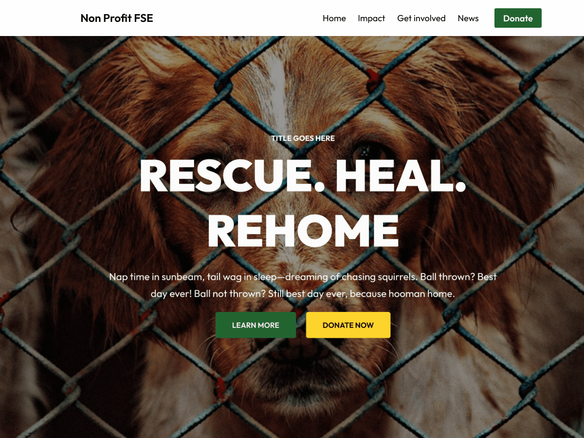 Non Profit FSE Screenshot