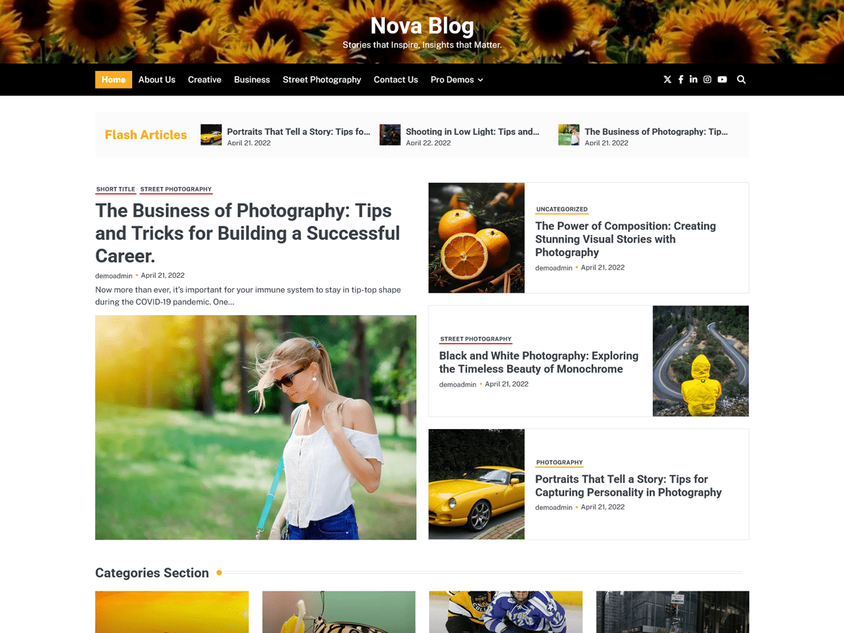Nova Blog screenshot