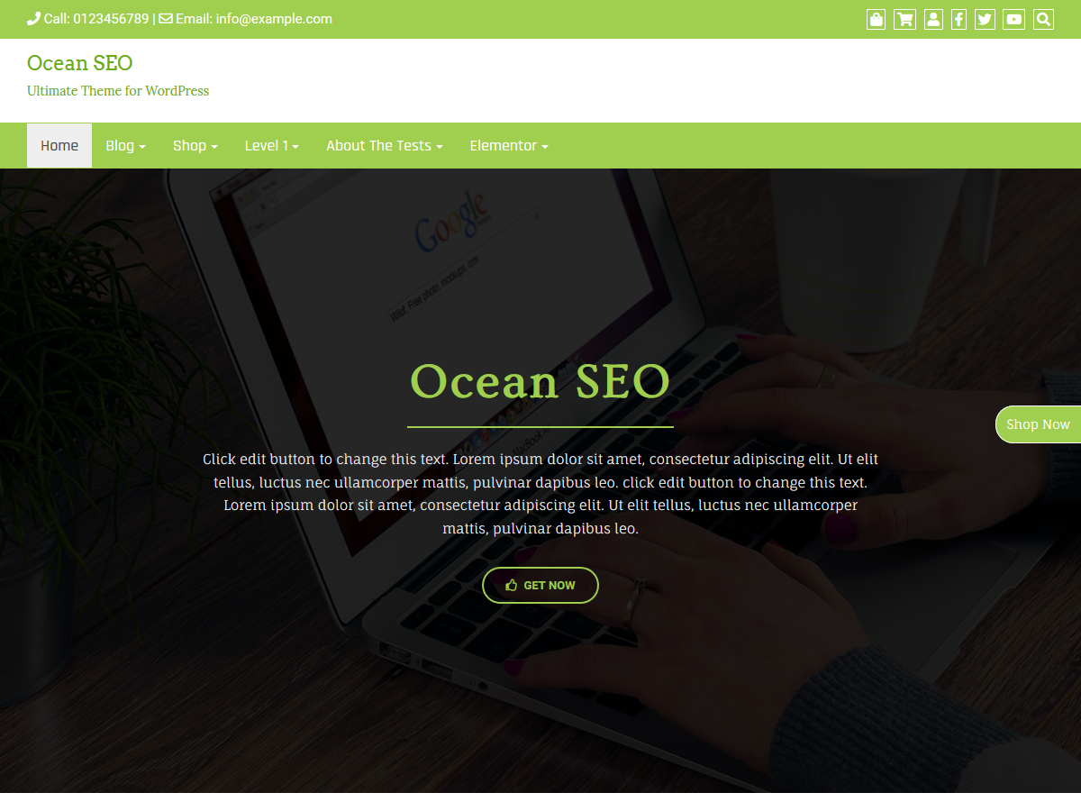 Ocean SEO Screenshot