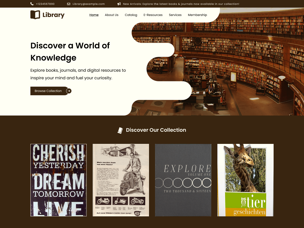 Online Library screenshot