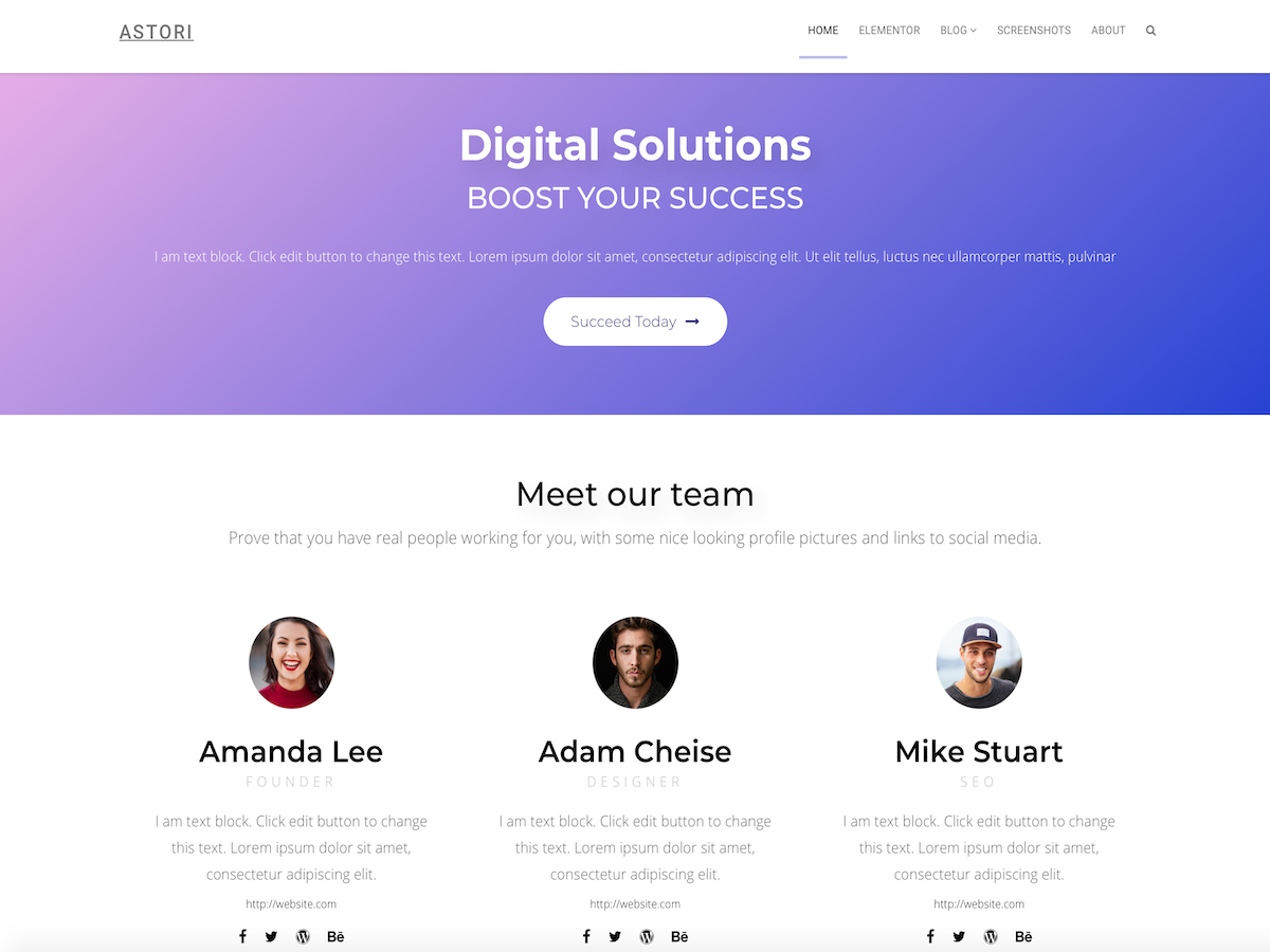 OrionWP WordPress Theme by blossomthemes