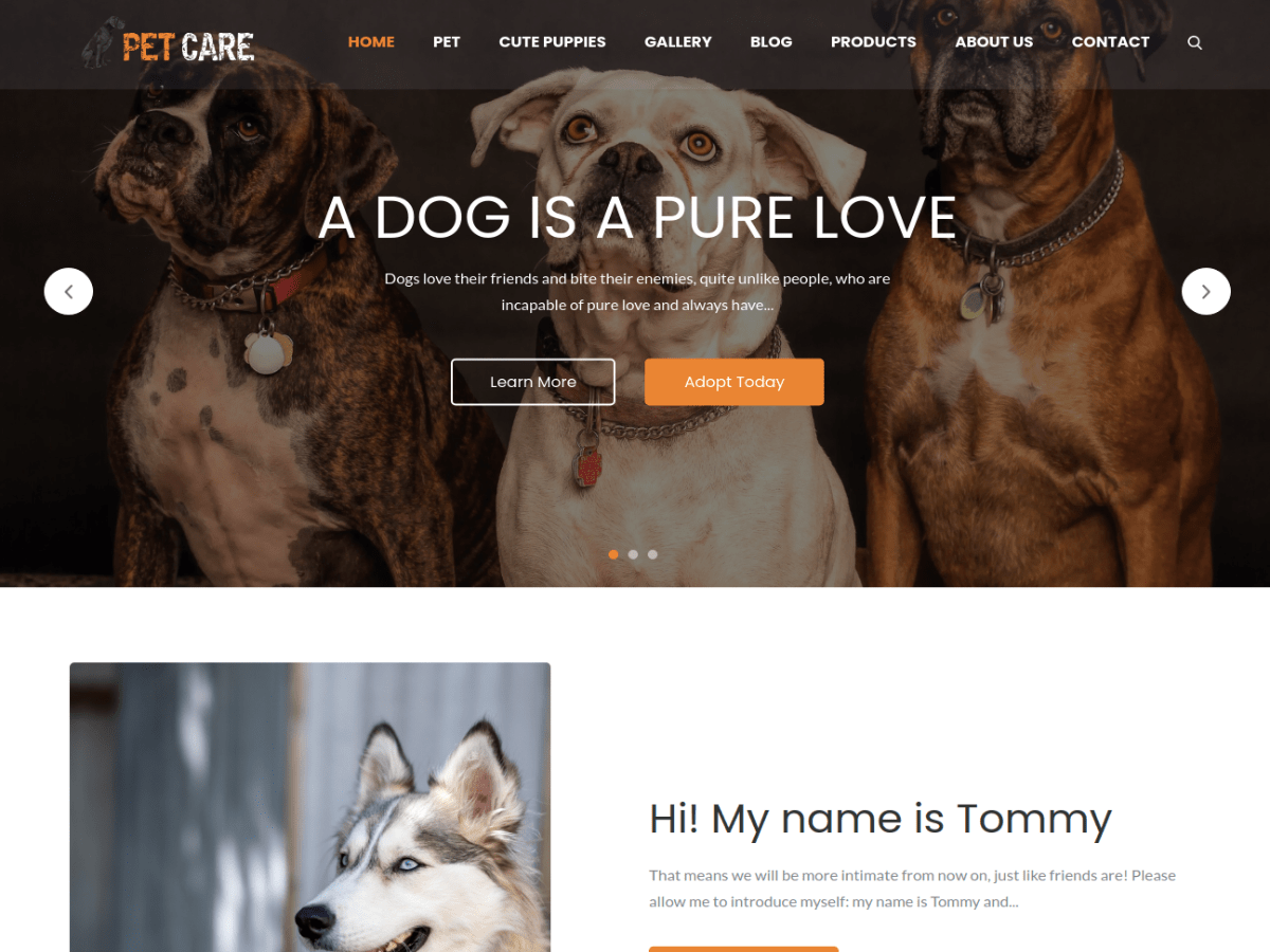 Pet Care Screenshot