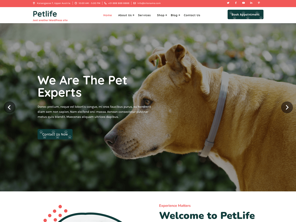 Petlife Lite screenshot