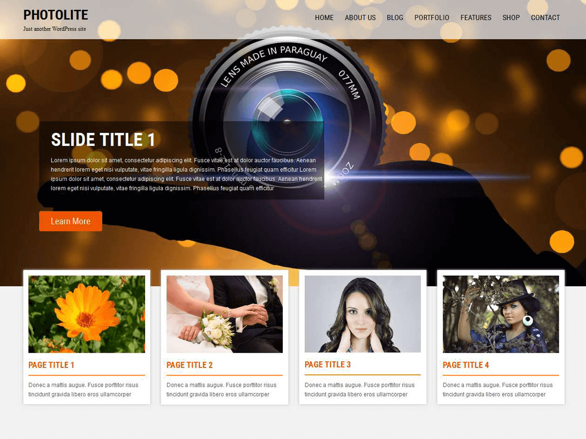 Photolite WordPress Theme by fly2sky