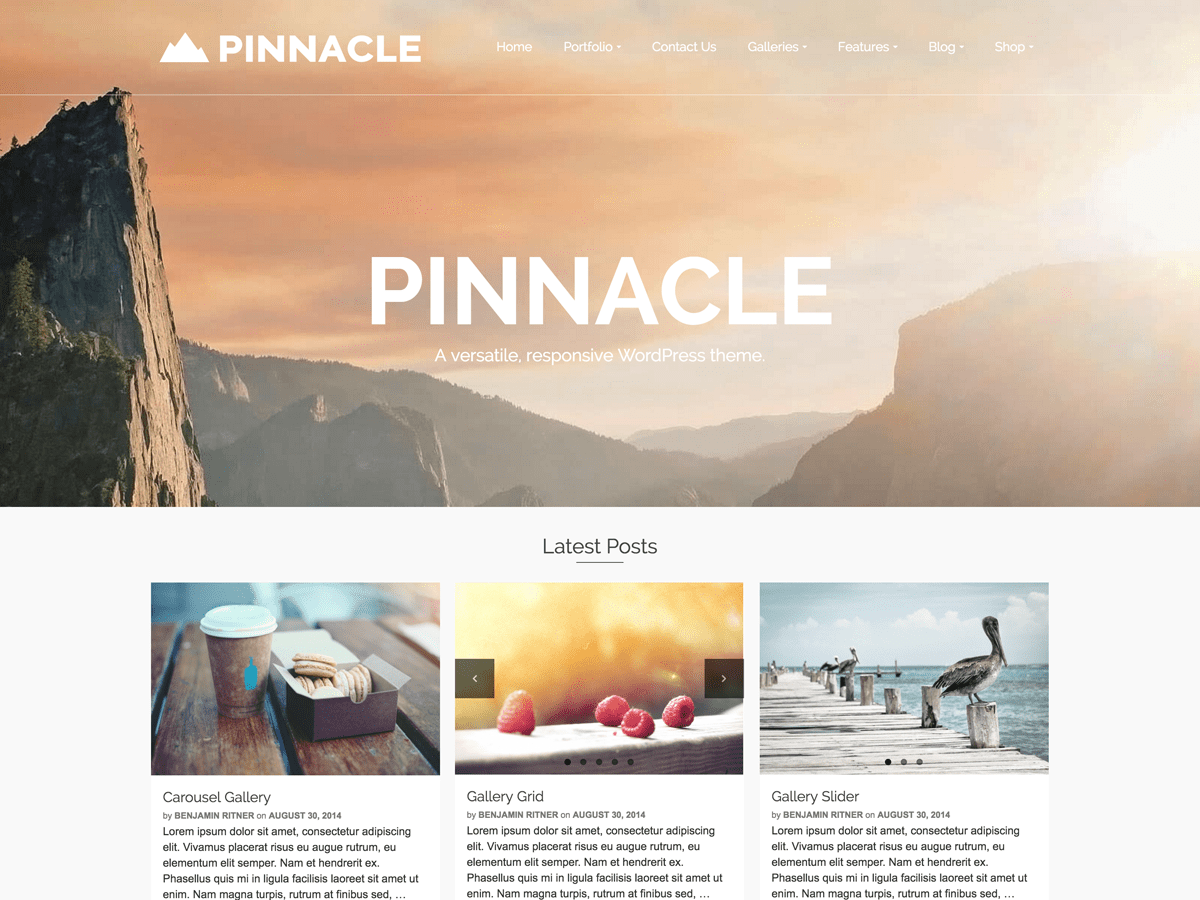 Pinnacle WordPress Theme by britner