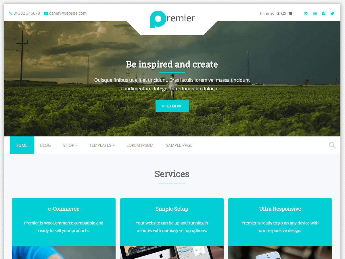 Premier WordPress Theme by danstriker