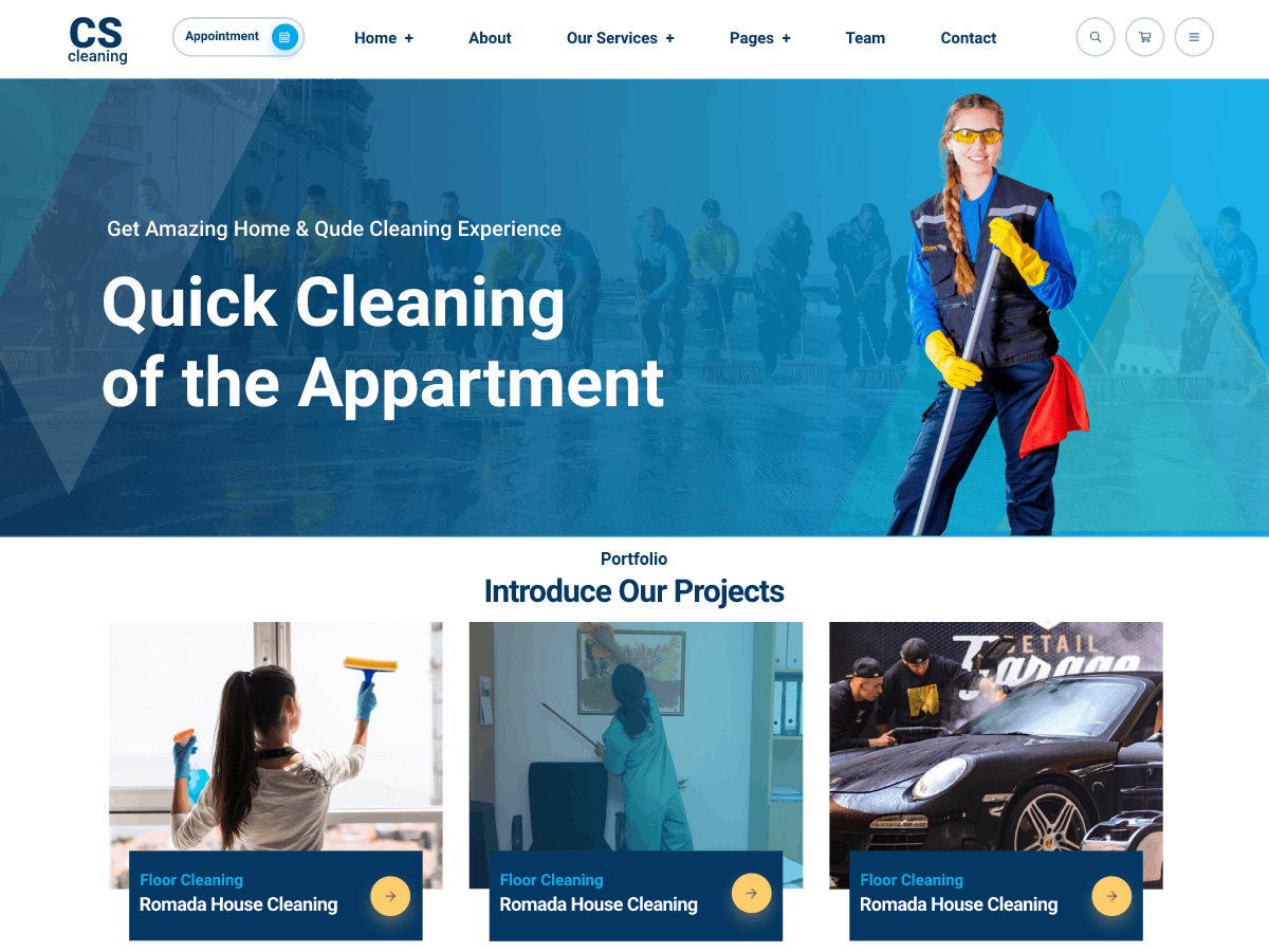 Professional Cleaning Company screenshot