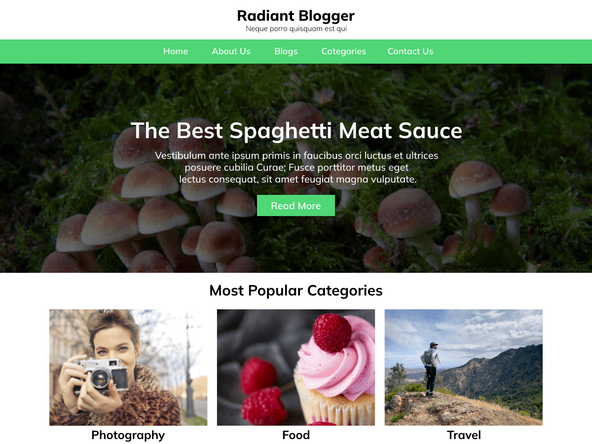 Radiant Blogger screenshot