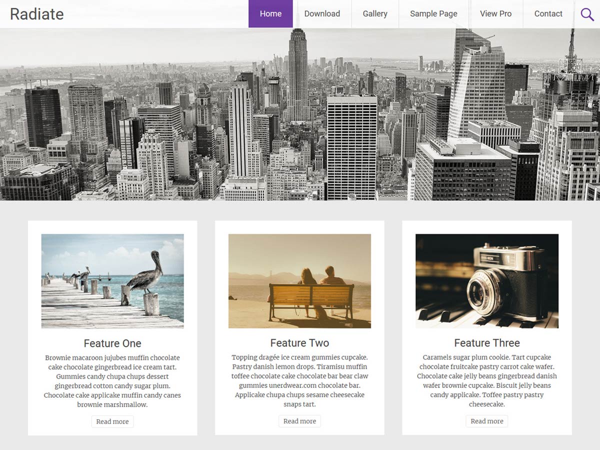 Radiate Free WordPress Theme by themegrill