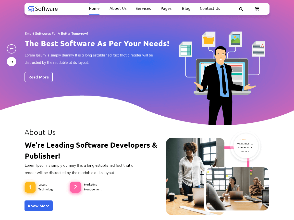 SAAS Software Technology screenshot