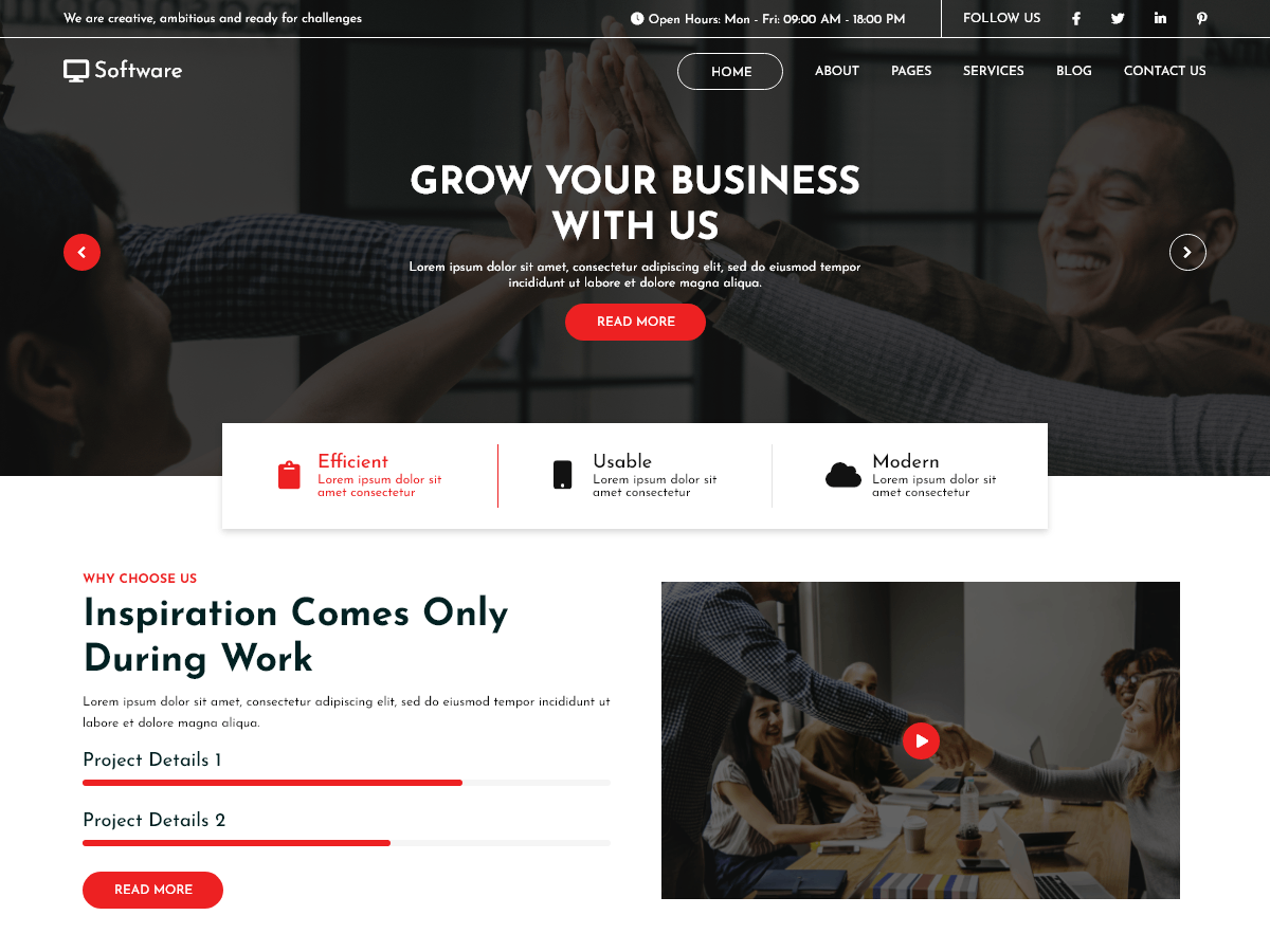 Software Company Elementor screenshot