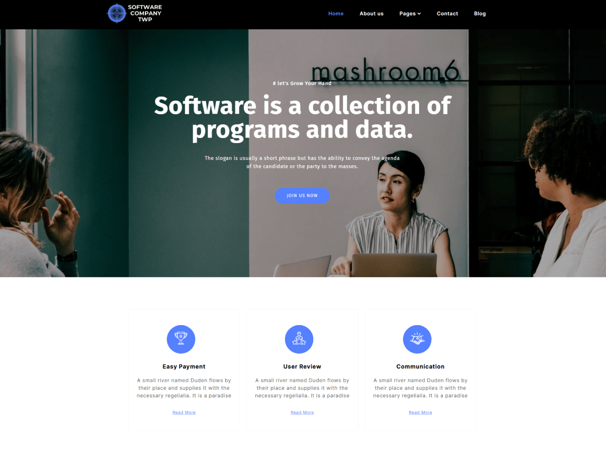 Software Company TWP Screenshot