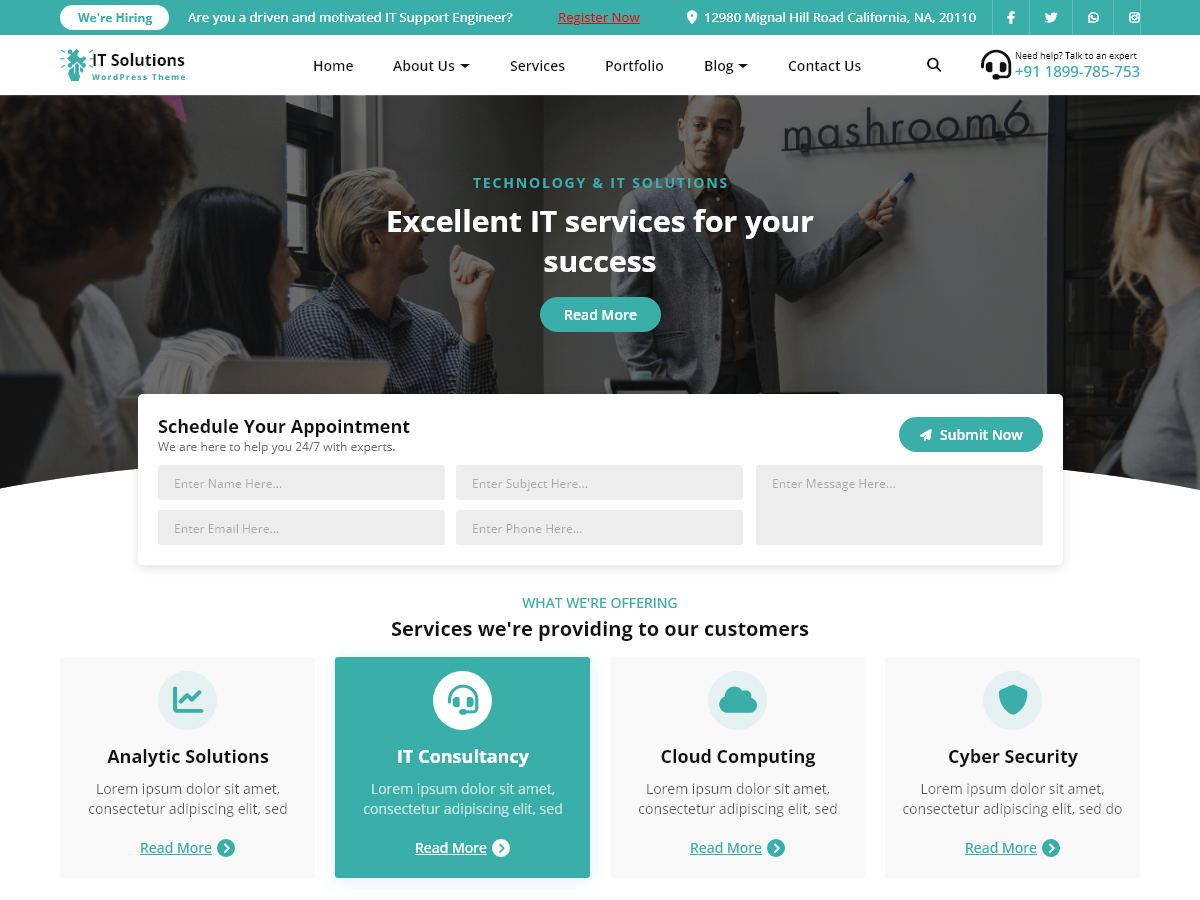 Software IT Company screenshot