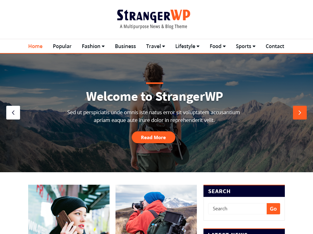StrangerWP screenshot