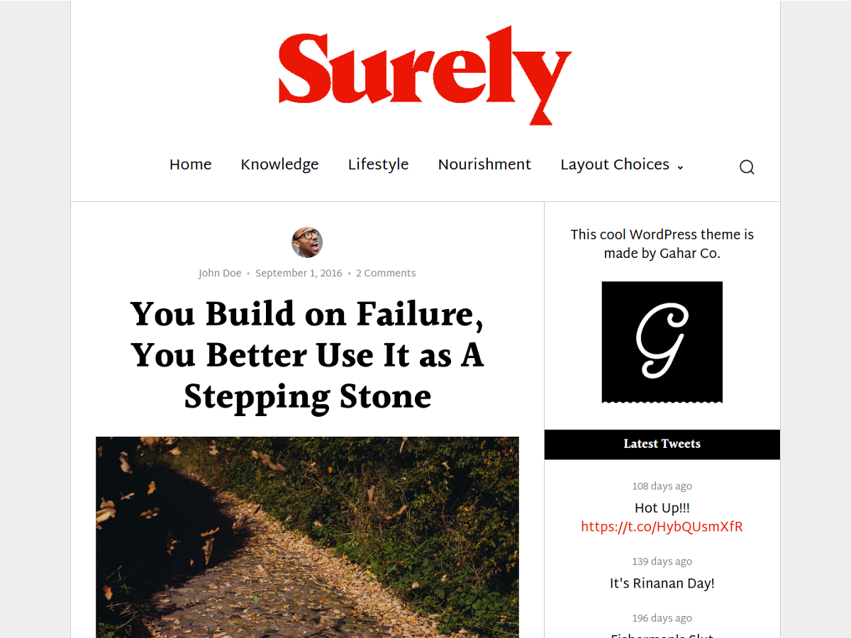 Surely WordPress Theme by wphoot