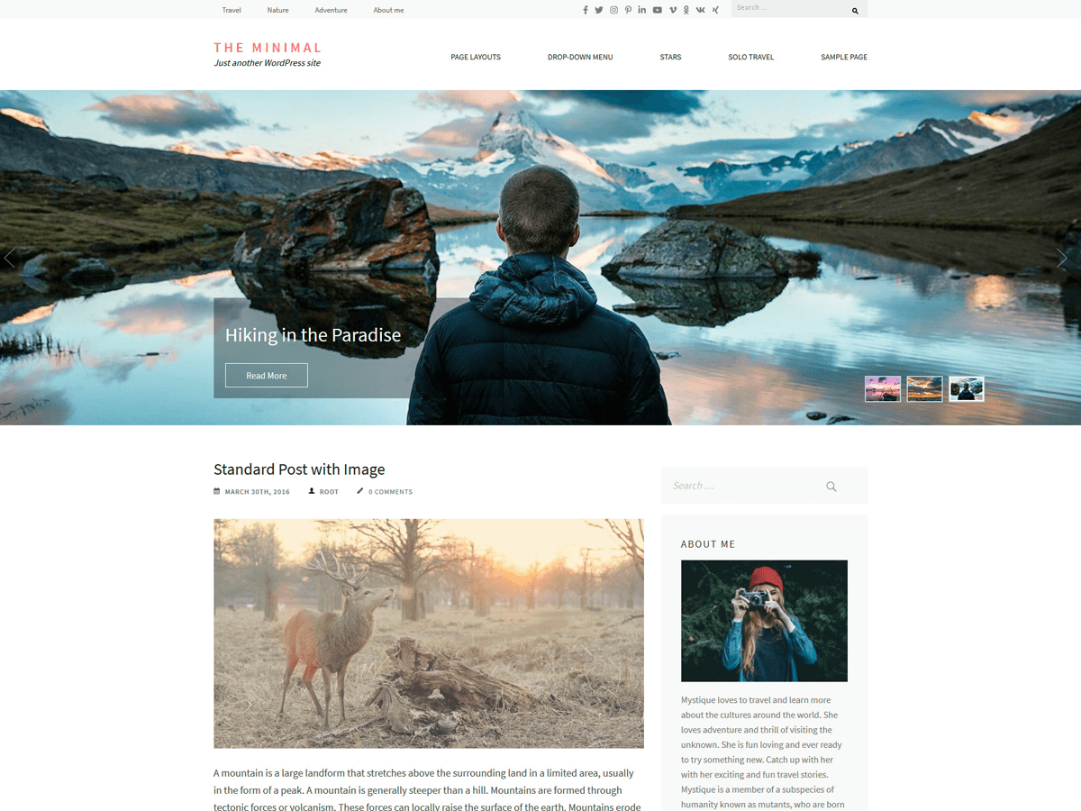 The Minimal WordPress Theme by marsian