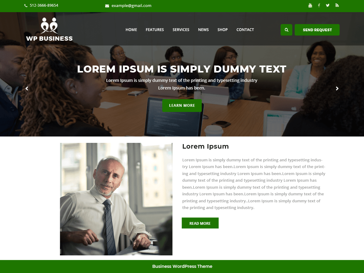 The WP Business screenshot