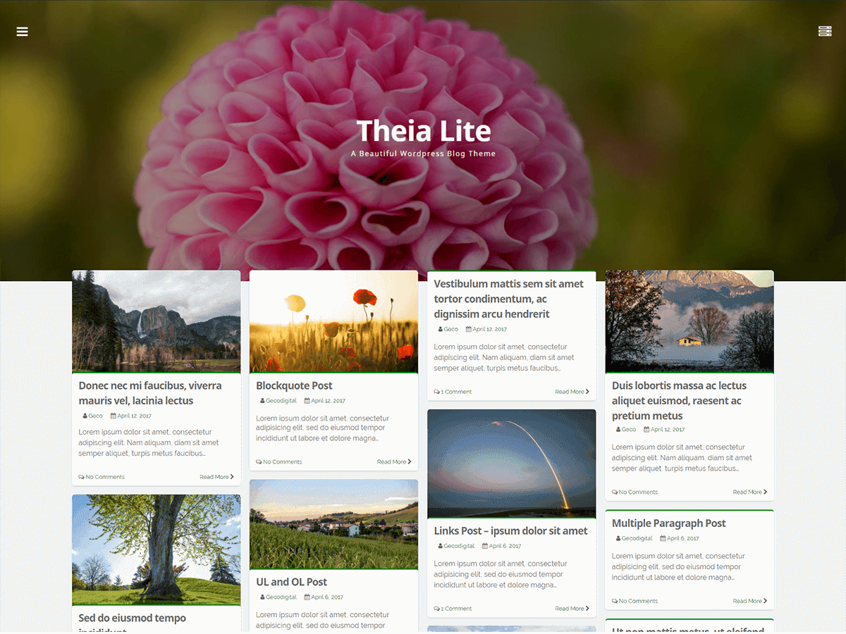 Theia Lite