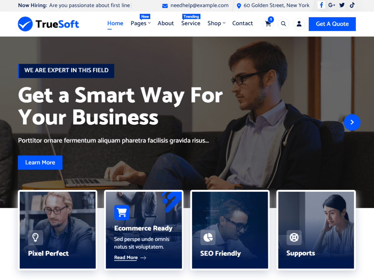 TrueSoft screenshot